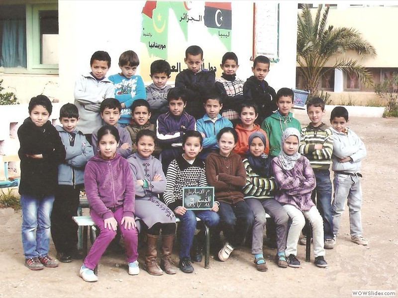المستوى الثالث    2012 - 2013